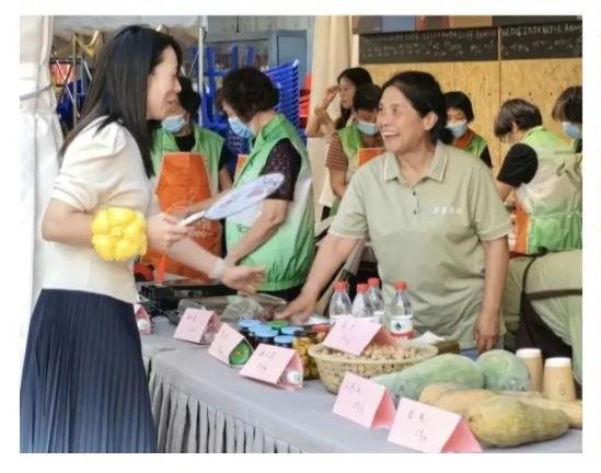 聚焦重大戰(zhàn)略，服務(wù)中心大局 嘉定社會組織以專業(yè)咨詢助力經(jīng)濟(jì)社會高質(zhì)量發(fā)展